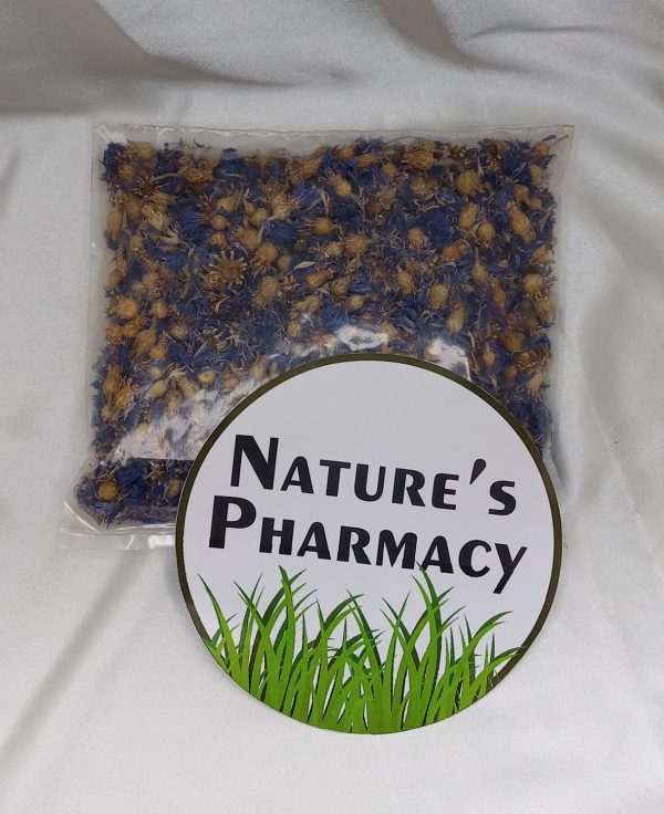 Blue Corn Flowers