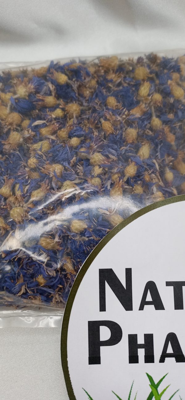 Blue Corn Flowers - Image 2