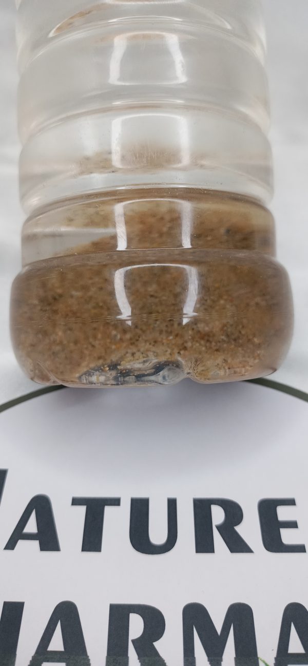Sea Water (500ml) - Image 2