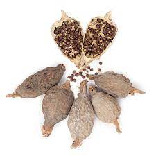 Alligator Pepper PODS 2pieces