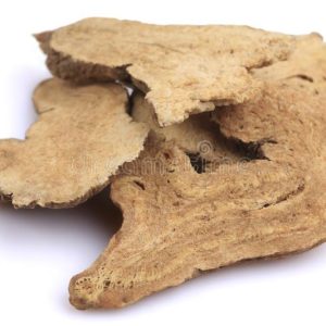 Atractylodes is used for indigestion, stomachache, bloating, fluid retention, diarrhea, loss of appetite, weight loss due to cancer, allergies to dust mites, and joint pain
