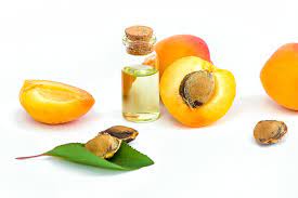 Appricot Kernel oil