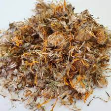 Arnica Montana Herbs