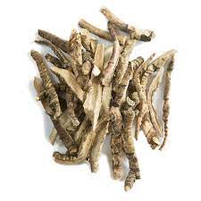 Calamus Root Cut