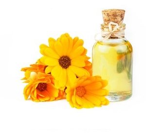 Calendula