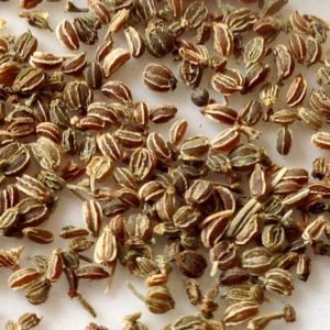 Celery Seeds