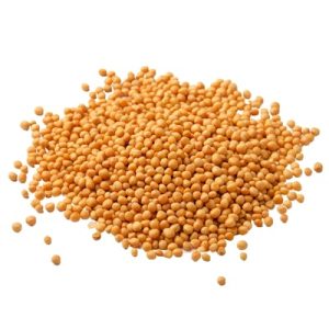 Mustard Seeds Yellow