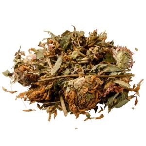 Red Clover Cut