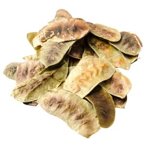 Senna Pods