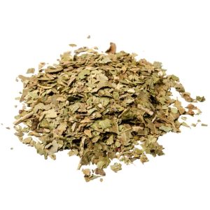 Walnut Leaves Cut