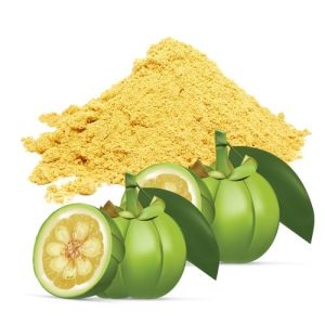 Garcinia Cambogia Extract Powder 100gms