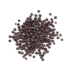 Mustard seed Black