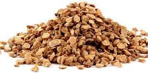 Astragalus