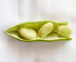 Bean Pods