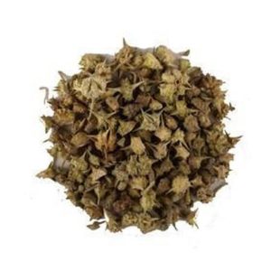 Tribulus Terrestris