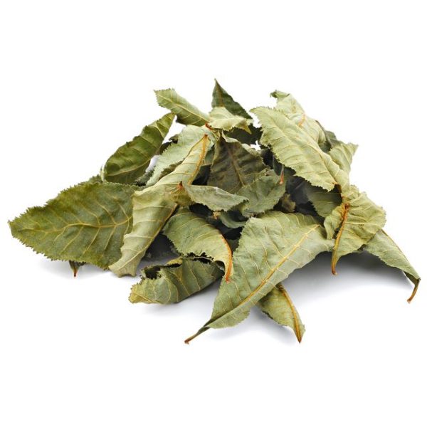 Horse Chestnut Benefits