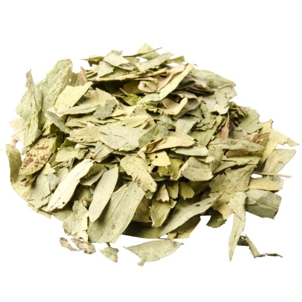 Senna leaves