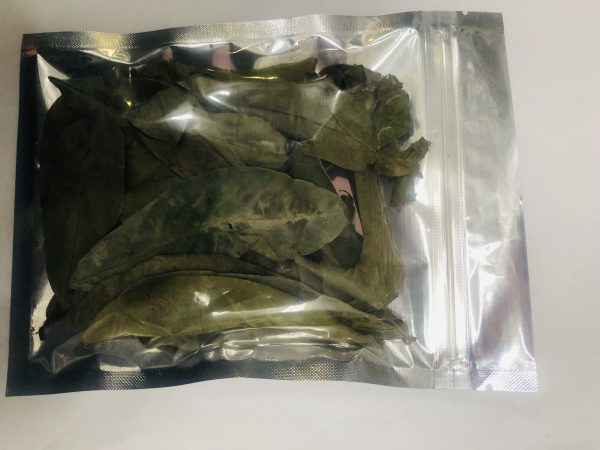 SOUR SOP GRAVIOLA LEAVES (ORGANIC) - Image 6