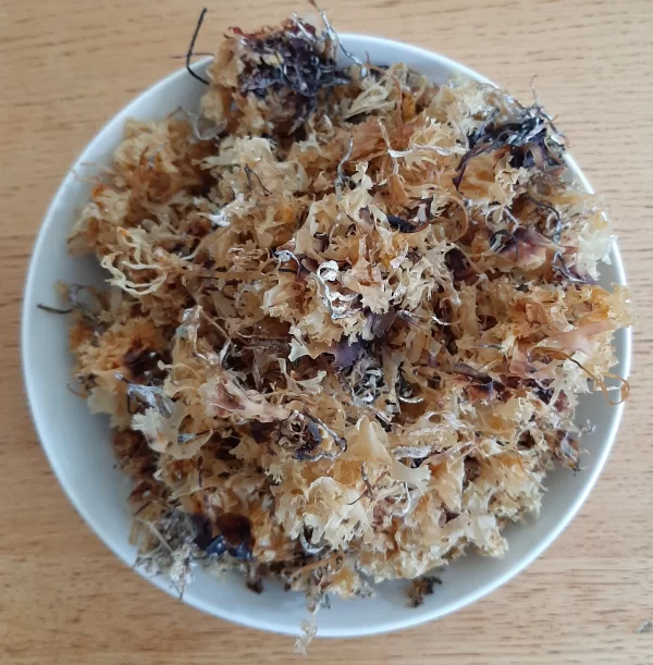 Organic Irish Moss Herb Cut,Chondrus Crispus, 100% Pure Sea Moss 50GMS - Image 3