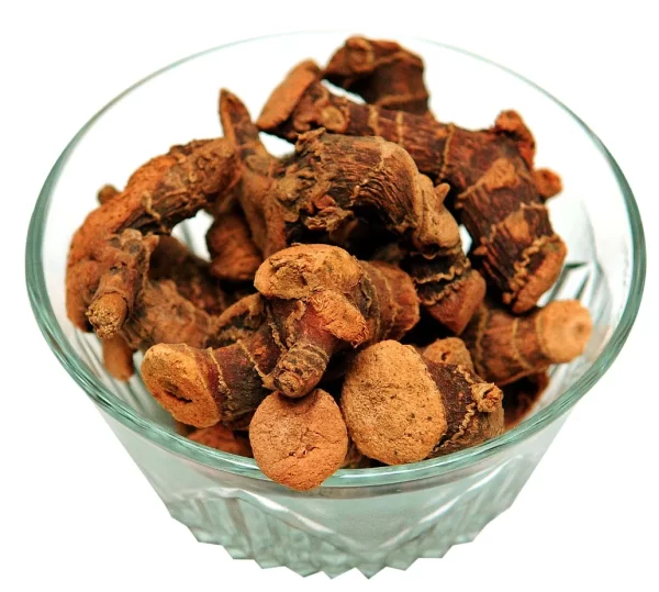 GALANGAL ROOT SLICES 50gms