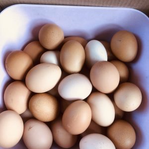 ORGANIC FREE RANGE EGGS 24S