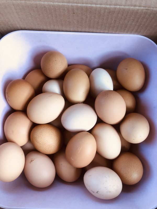 ORGANIC FREE RANGE EGGS 24S