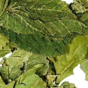 MULBERRY LEAF TEA 50gms