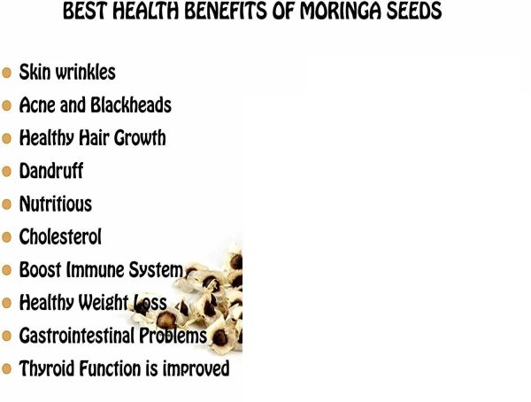 MORINGA SEEDS Moringa Oleifera | Dried, Non GMO - Image 3