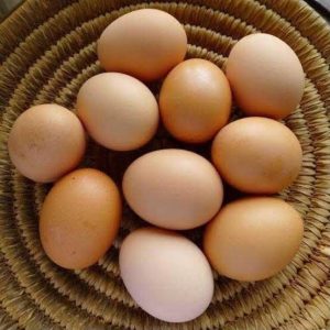 ORGANIC FREE RANGE EGGS 6s