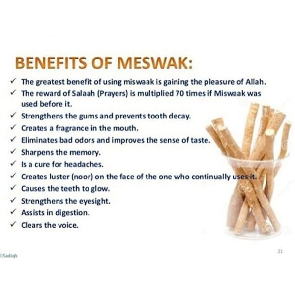 Miswak Natural toothbrush (1 piece) - Image 4