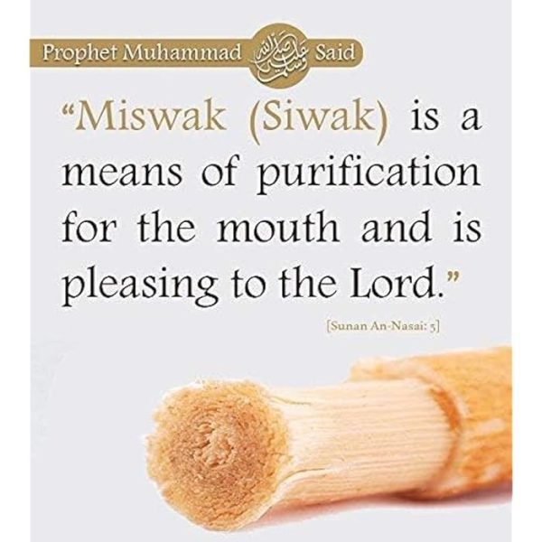Miswak Natural toothbrush (1 piece) - Image 5