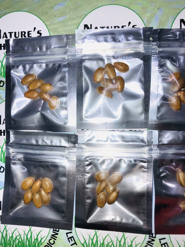 Soursop seeds - Image 2