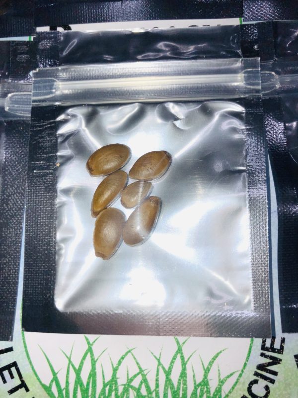 Soursop seeds