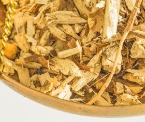 Hydrangea Root