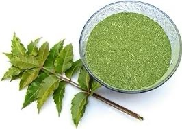 Neem powder