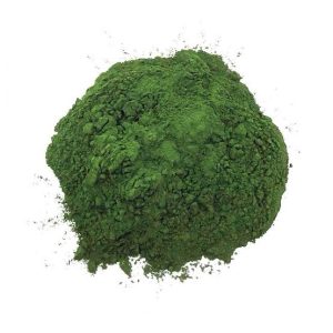 Chlorella Powder 100gms