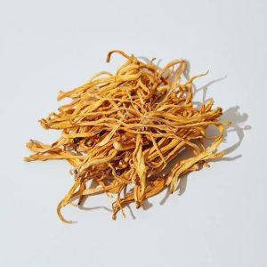 CORDYCEPS MUSHROOM WHOLE