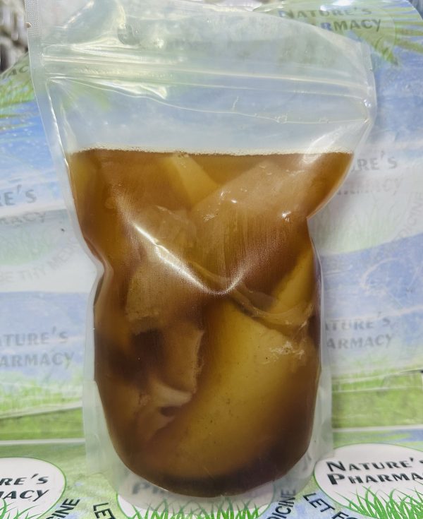 Kombucha Scoby