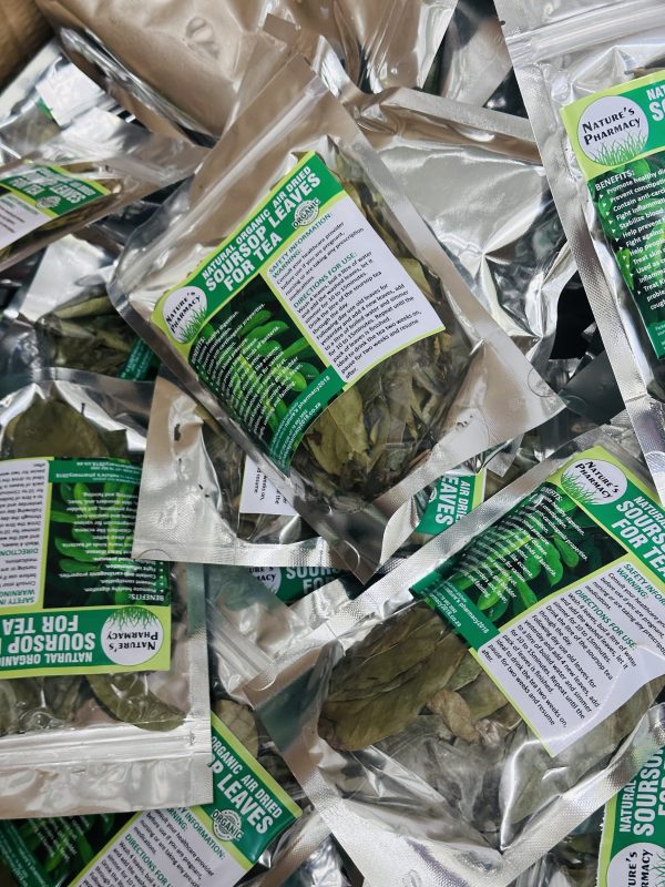 SOUR SOP GRAVIOLA LEAVES (ORGANIC) - Image 4