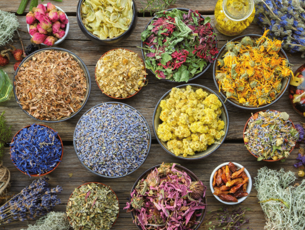 Herbal Healing Consultation Request