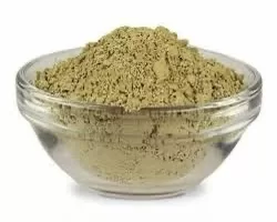 gymnema sylvestre powder