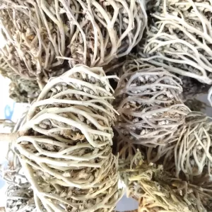 MARYAM FLOWER ROSE OF JERICHO (Single)