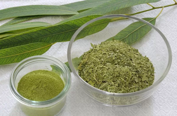 Eucalyptus leaf tea Powder