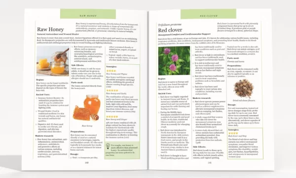 Ancient Remedies Revived by Shanon Greef (Author), Natalie Willow (Author) - Image 2