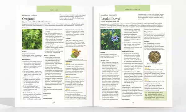 Ancient Remedies Revived by Shanon Greef (Author), Natalie Willow (Author) - Image 3