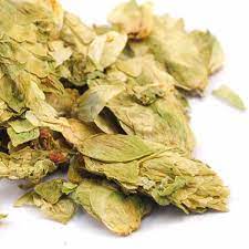 HOPS HERB