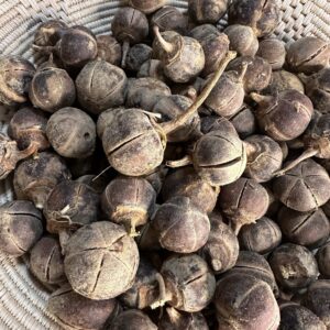 Goron Tula Fruits (Snot Apple) – Bulk 5-Litre Bucket